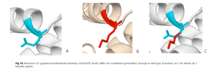 Consensus Docking Validation