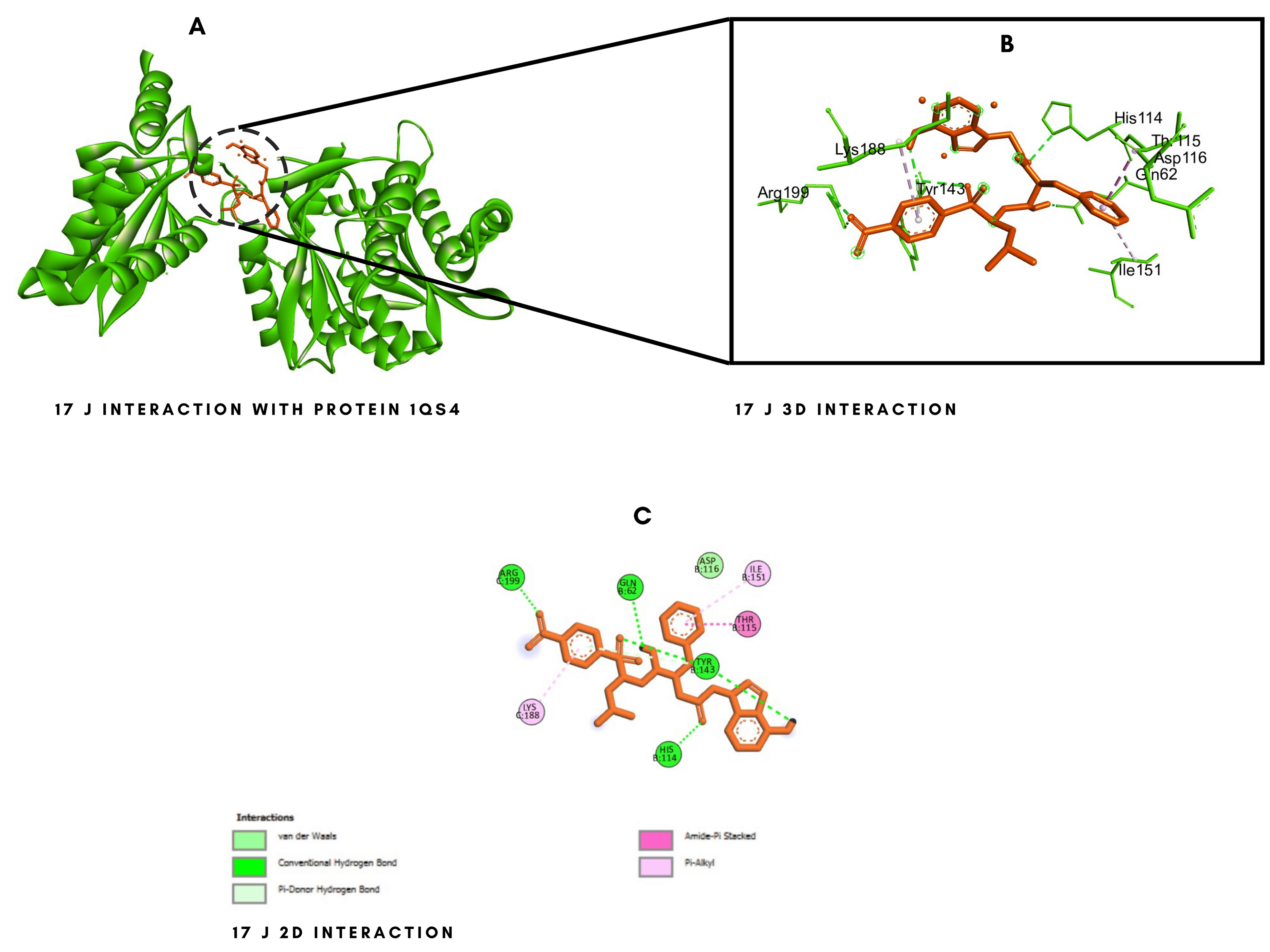 Protein-Ligand Complex Structure