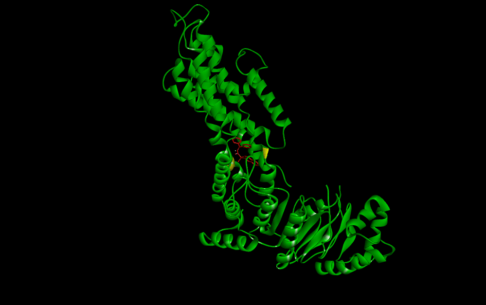 PDB Ligand Extraction & Analysis