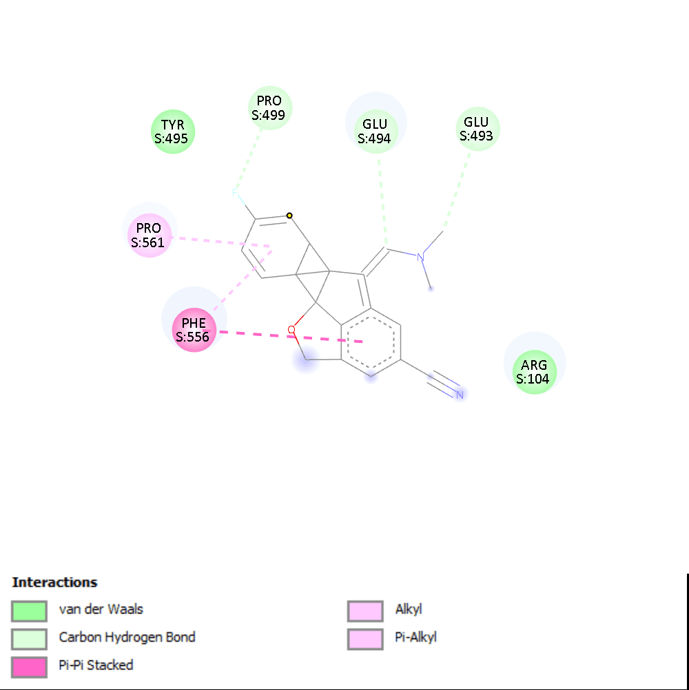 Citalopram Antidepressant Docking