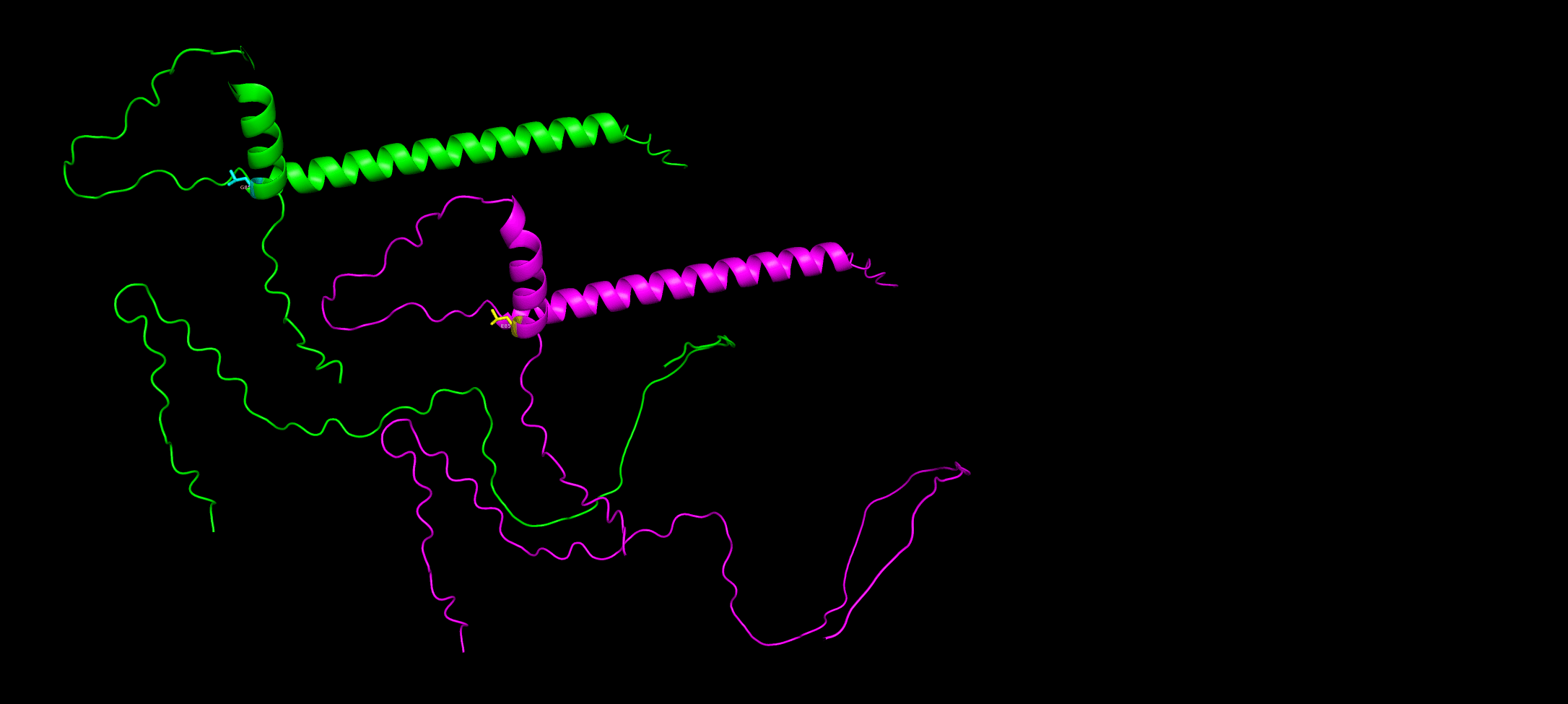 SNP Separated Structure Analysis