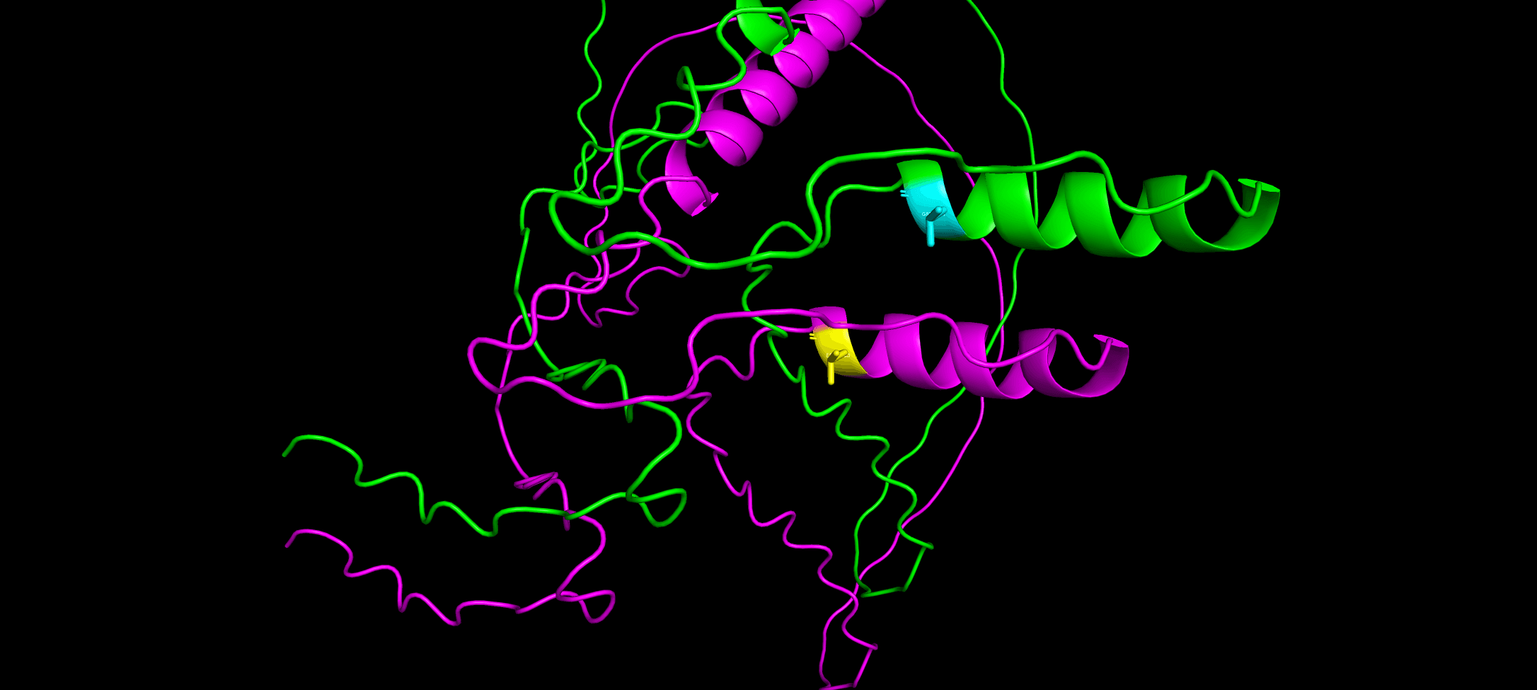 SNP Wild-Type vs Mutant Comparison