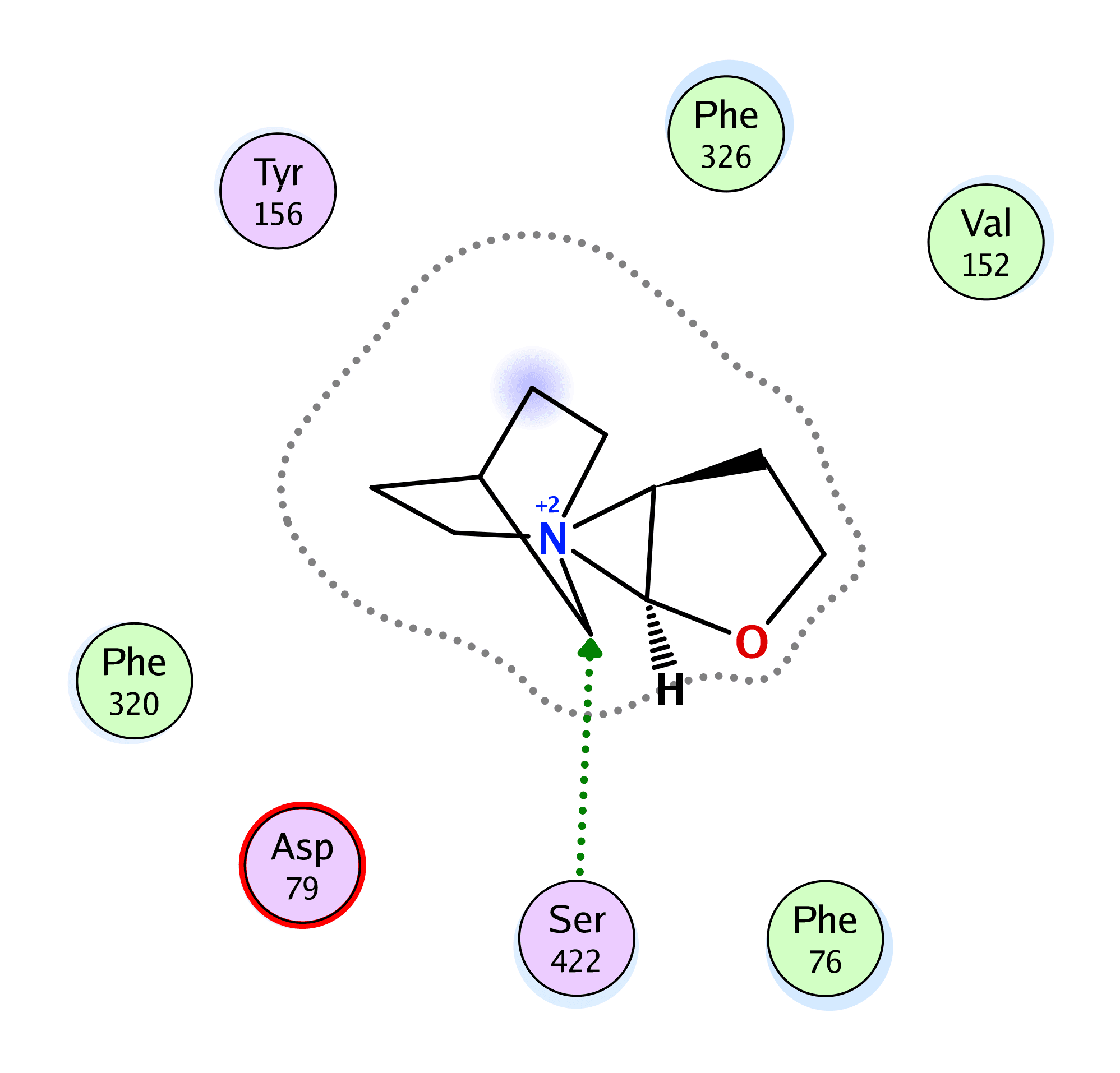 2D protein ligand docking interaction map